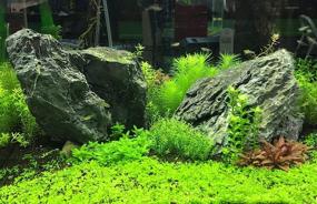 img 1 attached to Enhance Aquatic Plant Growth with Seachem Flourish Excel 20L - Premium Organic Carbon Source