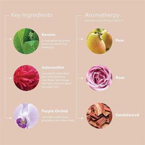 img 1 attached to 💜 Шампунь Pureology Strength Cure Blonde Purple: Тонизирующий и укрепляющий желтоватые волосы для блондинок и осветленных окрашенных волос. Без сульфатов и веганский!