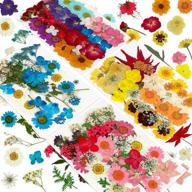 🌸 real natural dried pressed flowers: bulk kit for resin, candle, soap making & crafts logo