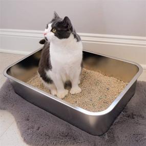 img 2 attached to Midlee Stainless Steel Litter Box