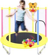 trampoline enclosure colorful seaballs basketball logo