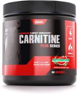🍉 carnitine plus metabolism and weight management supplement by betancourt nutrition - l-carnitine blend, 90g powder (60 servings) - watermelon flavor logo