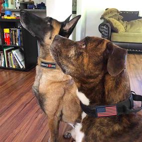 img 1 attached to 🐾 Tactical Dog Collar - Service Dog Collar with 3D Rubber Patch, USA American Flag Design - Military Dog Collar with Handle for Medium to Large Dogs (Size M-L-XL)