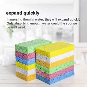 img 2 attached to 🧽 Sponges - 12 Pack of Cellulose Compressed Kitchen and Bathroom Sponges for Dishes