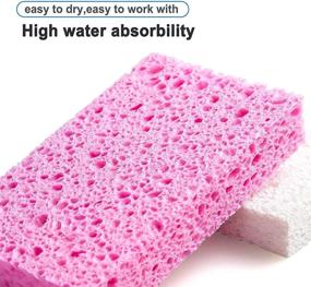 img 3 attached to 🧽 Sponges - 12 Pack of Cellulose Compressed Kitchen and Bathroom Sponges for Dishes