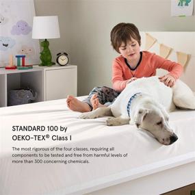 img 1 attached to 🛏️ Waterproof Queen Mattress Protector by Tuft & Needle - Liquid-Proof - Soft, Quiet, and Vinyl-Free - Fitted Sheet Style