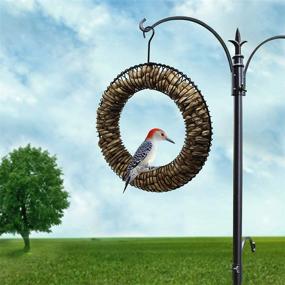 img 3 attached to 🐰 16 Inch Gray Bunny Hanging Peanut Wreath Bird Feeder - Rust & UV Resistant, Weatherproof, Solid Steel Durable Black Whole Peanut Wild Bird Feeder with Hanging Hook
