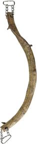 img 1 attached to Prevue Bird Perch Toys - Wacky Wood Lima Root, 14-Inch, Brown