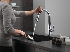 img 2 attached to 🚰 Delta Faucet Essa Touch Kitchen Faucet in Brushed Nickel with Pull Down Sprayer and Touch2O Technology, Arctic Stainless Finish 9113T-AR-DST