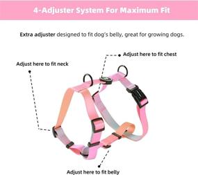 img 1 attached to TailSweetie Dog Harness - Cute Dog Harness for Small, Medium, and Large Dogs - Adorable Boy or Girl Puppy Harness, Pink, Purple, Green, or Blue Dog Harness with Optional Matching Dog Leash