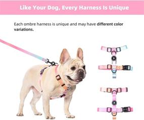 img 2 attached to TailSweetie Dog Harness - Cute Dog Harness for Small, Medium, and Large Dogs - Adorable Boy or Girl Puppy Harness, Pink, Purple, Green, or Blue Dog Harness with Optional Matching Dog Leash