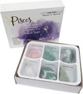 🐠 rock paradise horoscope stone box set for pisces zodiac sign: healing crystals birthstone charms - astrology crystal healing gift logo