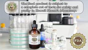 img 1 attached to HawaiiPharm Nerve Relax: Alcohol-Free Pet Herbal Supplement, Natural Veterinary Liquid Extract