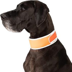 img 3 attached to CoolerDog Hi Vis Dog Cooling Collar