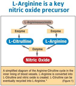 img 3 attached to Fitness L Citrulline L Arginine Spectra Capsules