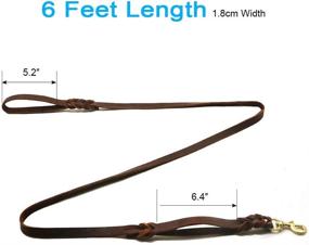 img 3 attached to 🐶 Premium Wellbro Genuine Leather Double Handle Dog Leash for Effective Training and Control, Braided Design, Heavy Duty and Sturdy, 6ft Length, Brown