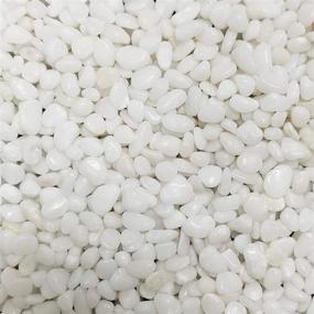 img 3 attached to 🪨 Tonmp 2 lb Natural Polished White Stones: Perfect Gravel Size River Rock Pebbles for Succulents, Cactus, Bonsai - Decorative Fillers for Aquariums and Terrariums