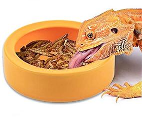 img 4 attached to TDPET Reptile Worm Dish - Ceramic Mini Lizard Feeding Bowl, Escape Proof & Circular Design