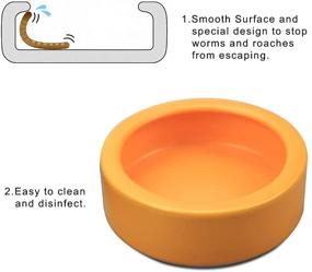 img 2 attached to TDPET Reptile Worm Dish - Ceramic Mini Lizard Feeding Bowl, Escape Proof & Circular Design