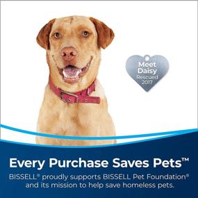 img 3 attached to 🐾 BISSELL MultiClean Allergen Pet Upright Vacuum: Powerful HEPA Filter Sealed System, 2999 - Best Choice for Pet Owners