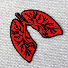 img 1 attached to X Ray Anatomical Embroidered Applique Patch