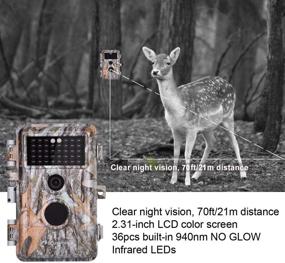 img 3 attached to 📸 2-Pack Game Trail Deer Cameras - 24MP 1296P H.264 MP4 Video - No Glow Wildlife Hunting Cams with Night Vision - Motion Activated - Waterproof & Password Protected - Photo & Video Mode - Time Lapse & Time Stamp