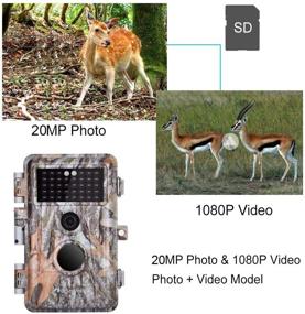 img 1 attached to 📸 2-Pack Game Trail Deer Cameras - 24MP 1296P H.264 MP4 Video - No Glow Wildlife Hunting Cams with Night Vision - Motion Activated - Waterproof & Password Protected - Photo & Video Mode - Time Lapse & Time Stamp