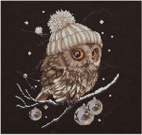 img 4 attached to Thea Gouverneur - Counted Cross Stitch Kit - Whoo.Whoo.It's Winter - Aida Black - DIY Kit