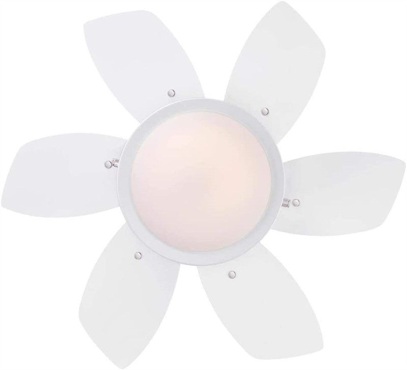 🔆 Ciata Lighting 24-Inch Quince Indoor Ceiling Fan in…