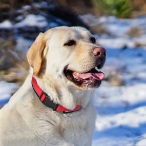 img 3 attached to 🐶 Tilasickel Reflective Dog Collar: Widened and Thickened, Breathable Soft Neoprene Padding, Adjustable Nylon Collar for Small, Medium, and Large Dogs - 3 Sizes, 5 Colors!