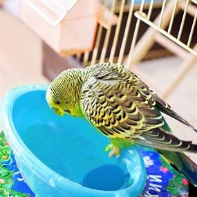 img 2 attached to 🐦 Weewooday Bird Bath Tub with Mirror and Chewing Rattan Ball – Perfect Shower Accessories for Small to Medium Pet Parrots