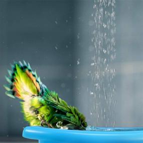 img 3 attached to 🐦 Weewooday Bird Bath Tub with Mirror and Chewing Rattan Ball – Perfect Shower Accessories for Small to Medium Pet Parrots