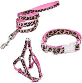 img 4 attached to PAWZ Road Leopard Collar Harness