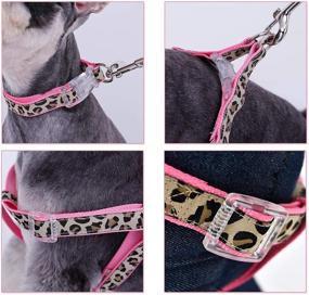 img 1 attached to PAWZ Road Leopard Collar Harness