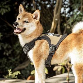 img 3 attached to 🐾 Walk in Style: Escape Proof Dog Harness and Leash Set for Cats/Small Dogs - Easy Control, Adjustable Soft Vest Harnesses