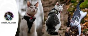 img 2 attached to 🐾 Walk in Style: Escape Proof Dog Harness and Leash Set for Cats/Small Dogs - Easy Control, Adjustable Soft Vest Harnesses