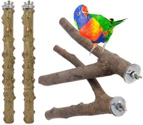 img 4 attached to Cestbella Parrot Perches Set of 4 Natural Wood Branch Bird Cage Accessories for Parakeet, Budgies, Lovebirds - Ideal Parrot Stand Pole Toy Perches