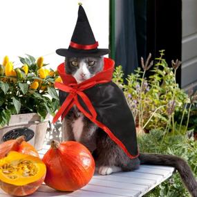 img 1 attached to 🐱 Frienda Halloween Pet Costume Set: Black Cat Bat, Vampire Cloak, Wizard Hat for Cats & Dogs - Perfect for Halloween Cosplay and Accessories