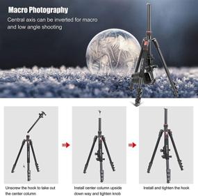 img 3 attached to 📷 Lightweight Aluminum Camera Tripod: 70 Inches Tripod for DSLR with 360° Ball Head, Quick Release Plate - Supports up to 18 Pounds