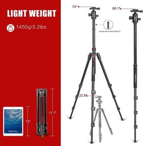 img 1 attached to 📷 Lightweight Aluminum Camera Tripod: 70 Inches Tripod for DSLR with 360° Ball Head, Quick Release Plate - Supports up to 18 Pounds