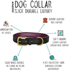 img 3 attached to Genuine Leather Dog Collars: Comfortable & Strong for All Breeds - Soft Padding & Saddle-Grade Leather - Durable with Solid Brass Buckle