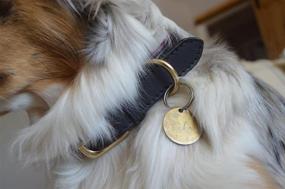 img 1 attached to Genuine Leather Dog Collars: Comfortable & Strong for All Breeds - Soft Padding & Saddle-Grade Leather - Durable with Solid Brass Buckle