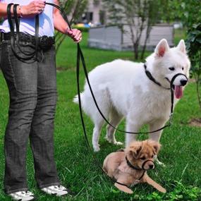 img 2 attached to 🐾 Adjustable Padded Dog Head Collar with Leash and Free Training Guide - No-Pull Tool for Walks, 3 Inches