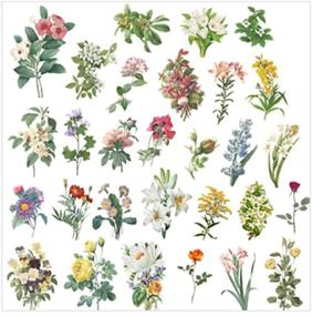 img 2 attached to 🌸 60PCS Vintage Flower and Plant Washi Paper Stickers for Scrapbooking, DIY Diary, Albums, Water Cup, and Laptop Decoration