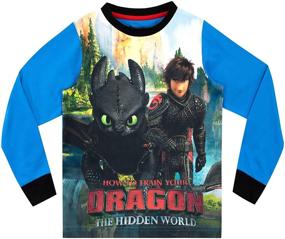 img 3 attached to How Train Your Dragon Pajamas