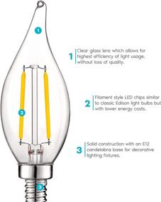 img 3 attached to 🕯️ Efficient and Versatile Candelabra Dimmable Chandelier: Industrial Electrical Filament Equivalent