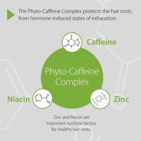 img 1 attached to 🌱 Plantur 39 Phyto Caffeine Shampoo: Nourish Thin Hair and Promote Natural Growth with this Women's Nourishing Formula, Enriched with Niacin, Zinc, and White Tea Extract