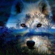 🐺 dazzling wolf 5d diamond embroidery painting kit: full drill diy craft for stunning home decor logo