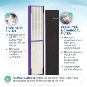 img 3 attached to 🌬️ Germ Guardian FLT5250PT True HEPA Genuine Air Purifier Replacement Filter C for Pet Pure Treatment - Compatible with GermGuardian AC5250PT, AC5000E, AC5300B, AC5350W, AC5350B, CDAP5500, and More