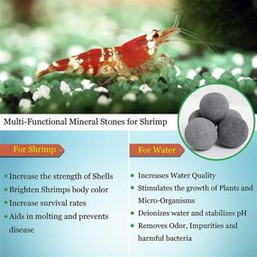 img 2 attached to 🦐 SunGrow Shrimp Tourmaline Balls: Boost Shrimp Survival, Shedding & Vibrancy - 10 Calcium-Rich Balls per Pack